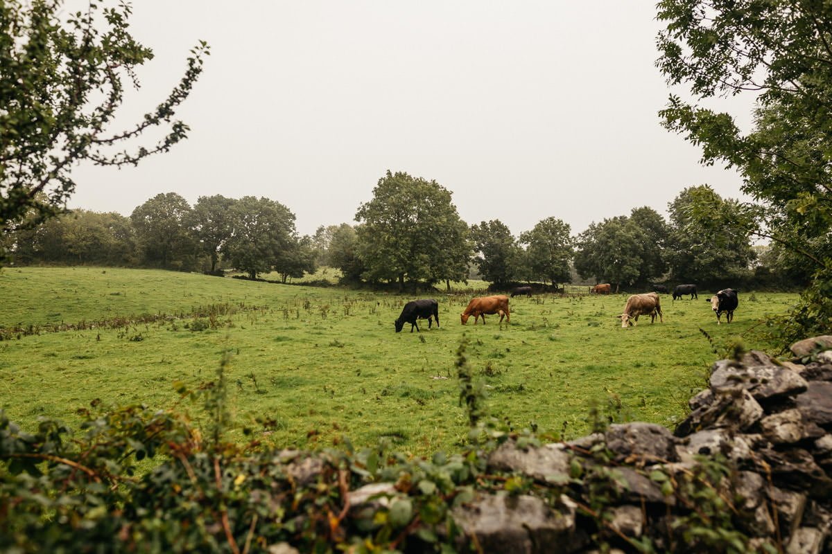 Destination Wedding in Ireland 3